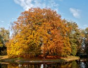 Rijstenborgherpark, Deventer  (c) Henk Melenhorst : Herfst, Rijsterborghpark